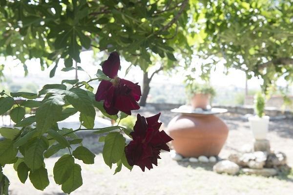 Marianna Mansion Villa Pachna Rum bild